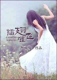 插翅难飞